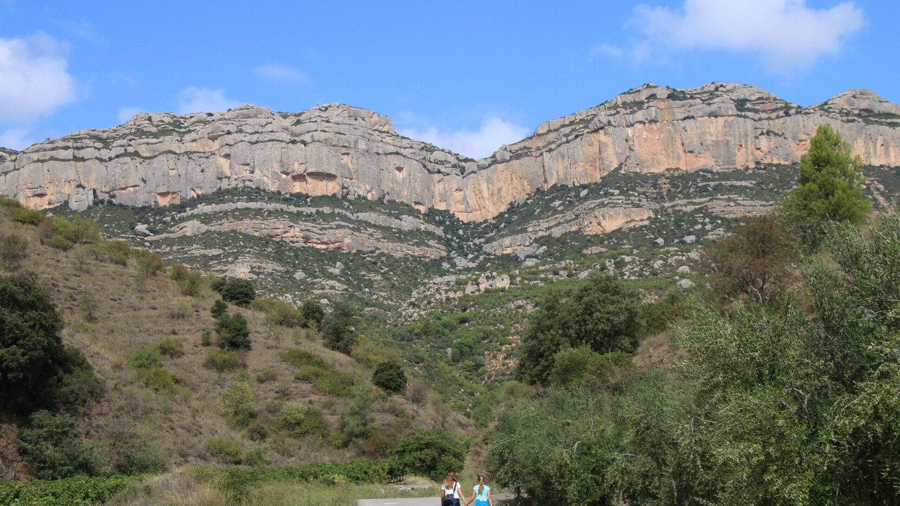 Photo of Outdoor in Parc de Mont-roig