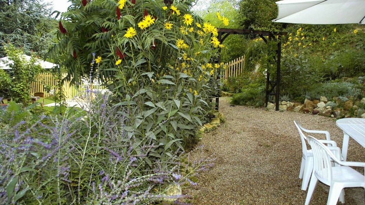 Photo of Outdoor in Cravant-les-Coteaux