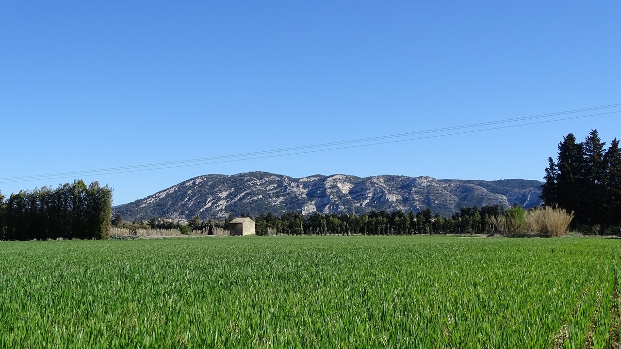 Photo of Others in Robion