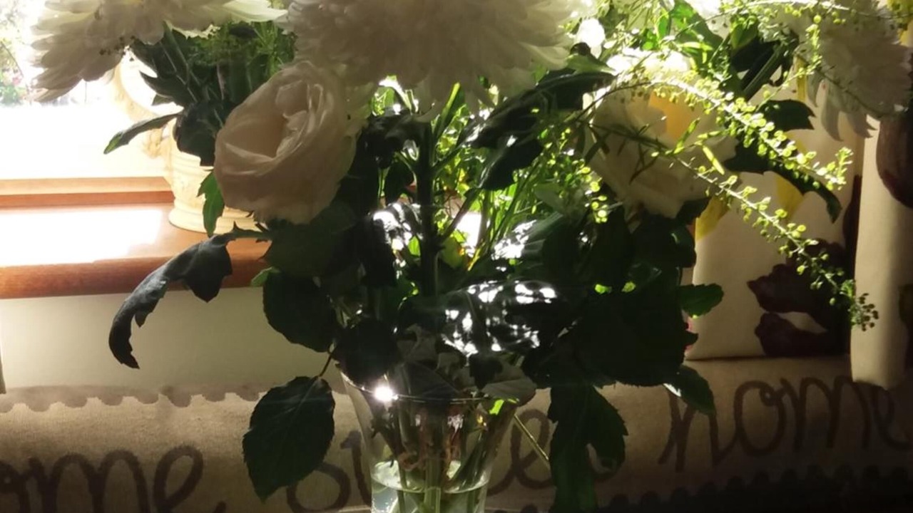 Photo of Others in Nettleton