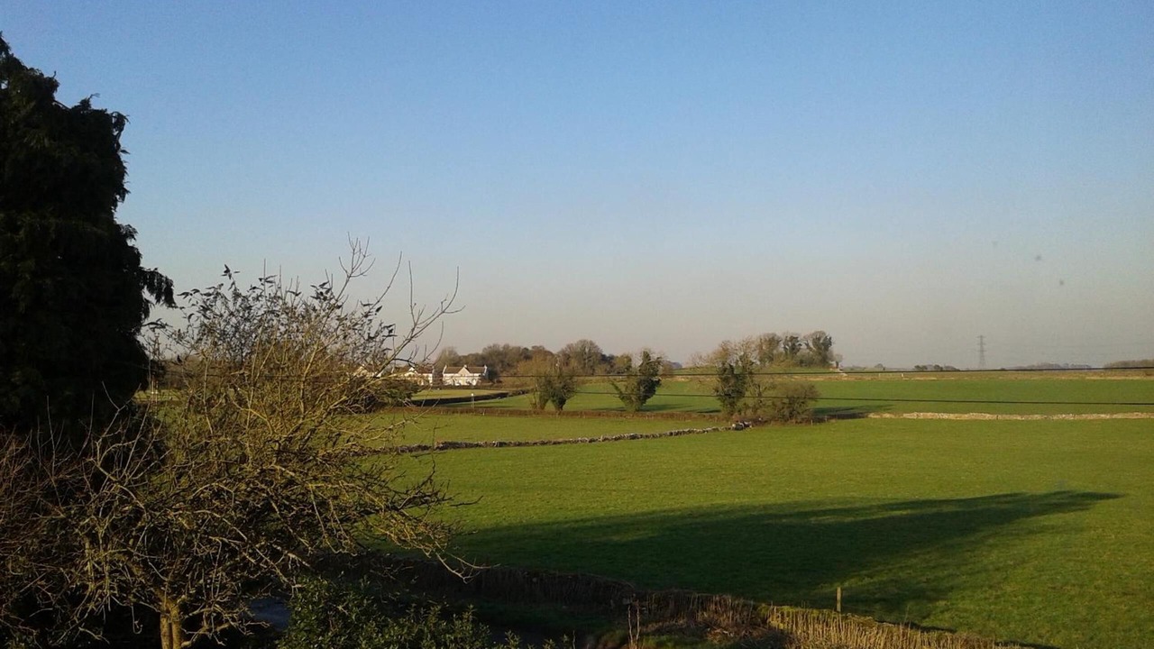 Photo of Others in Nettleton