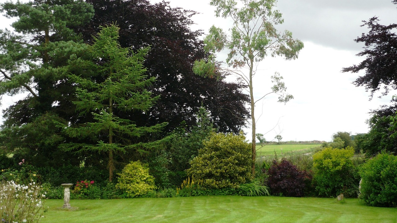 Photo of Outdoor in Nettleton