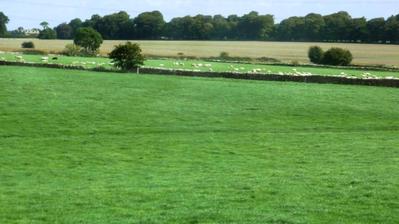 Photo of Outdoor in Nettleton