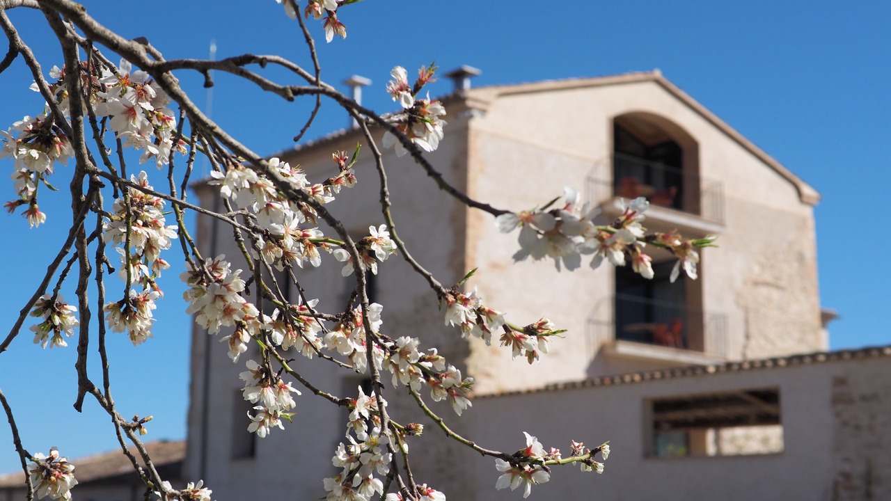 Photo of Outdoor in Santa Margarida de Montbui
