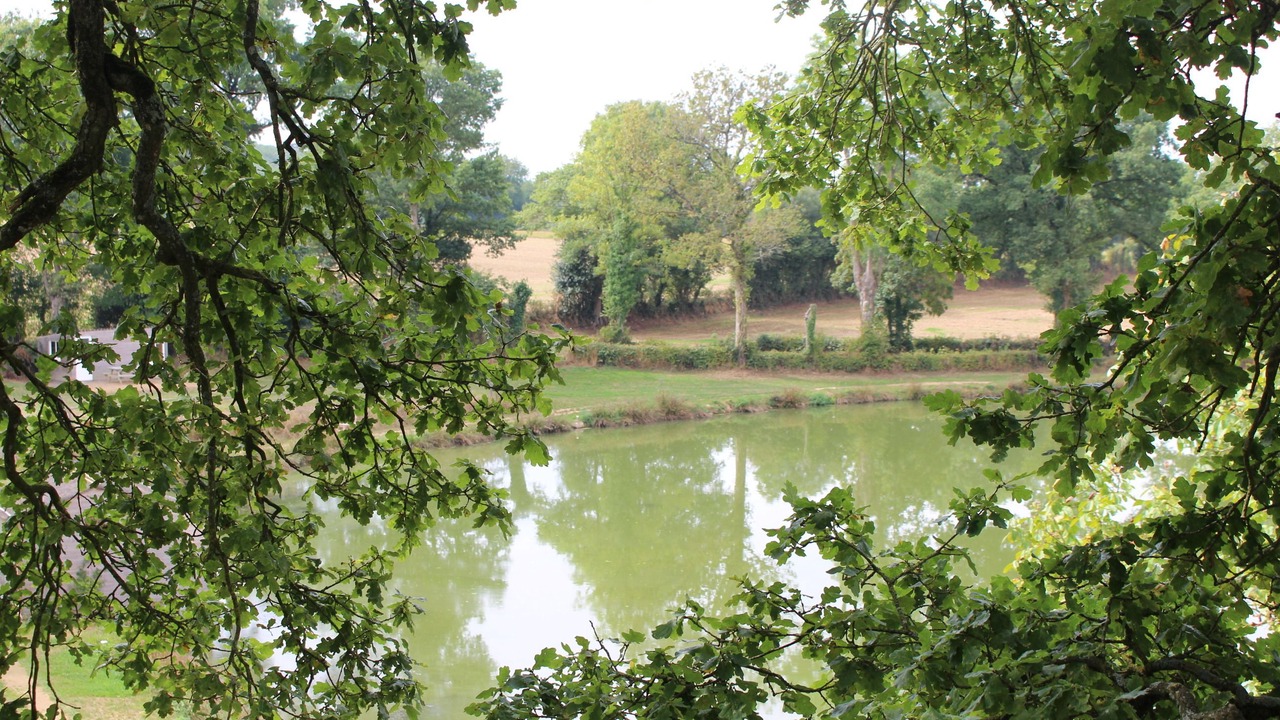 Photo of Others in Pouzauges