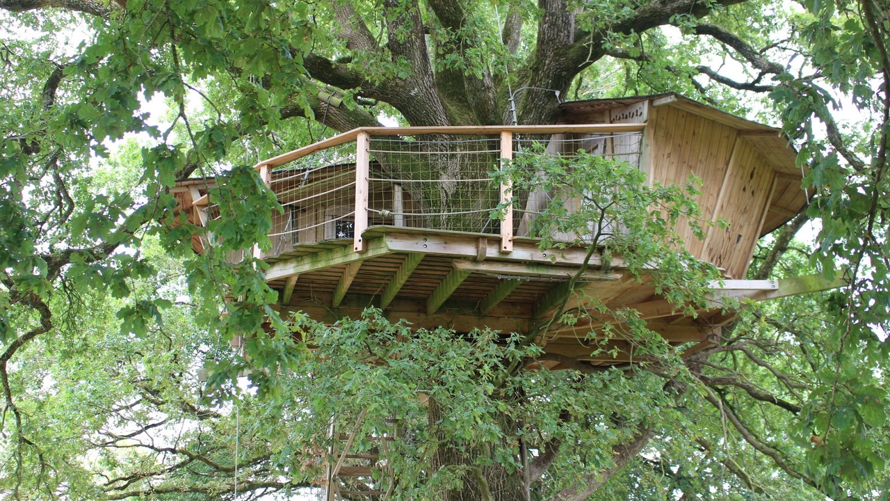 Photo of Others in Pouzauges