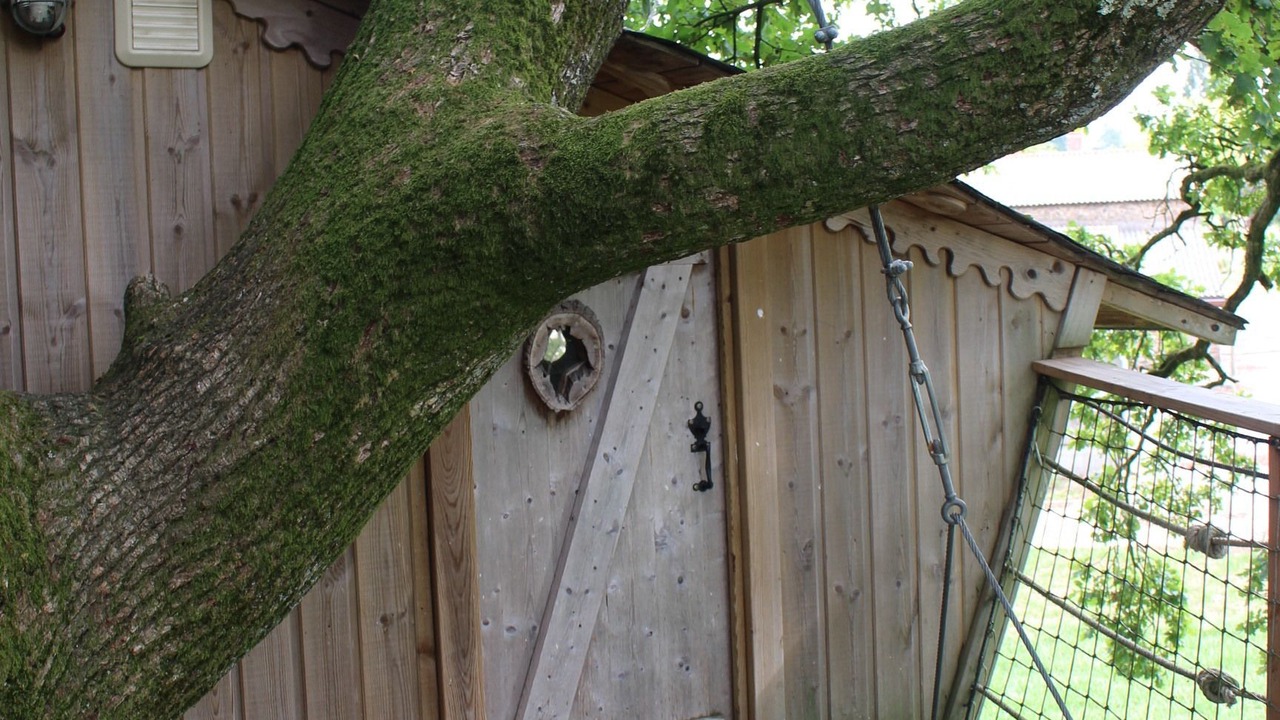 Photo of Others in Pouzauges