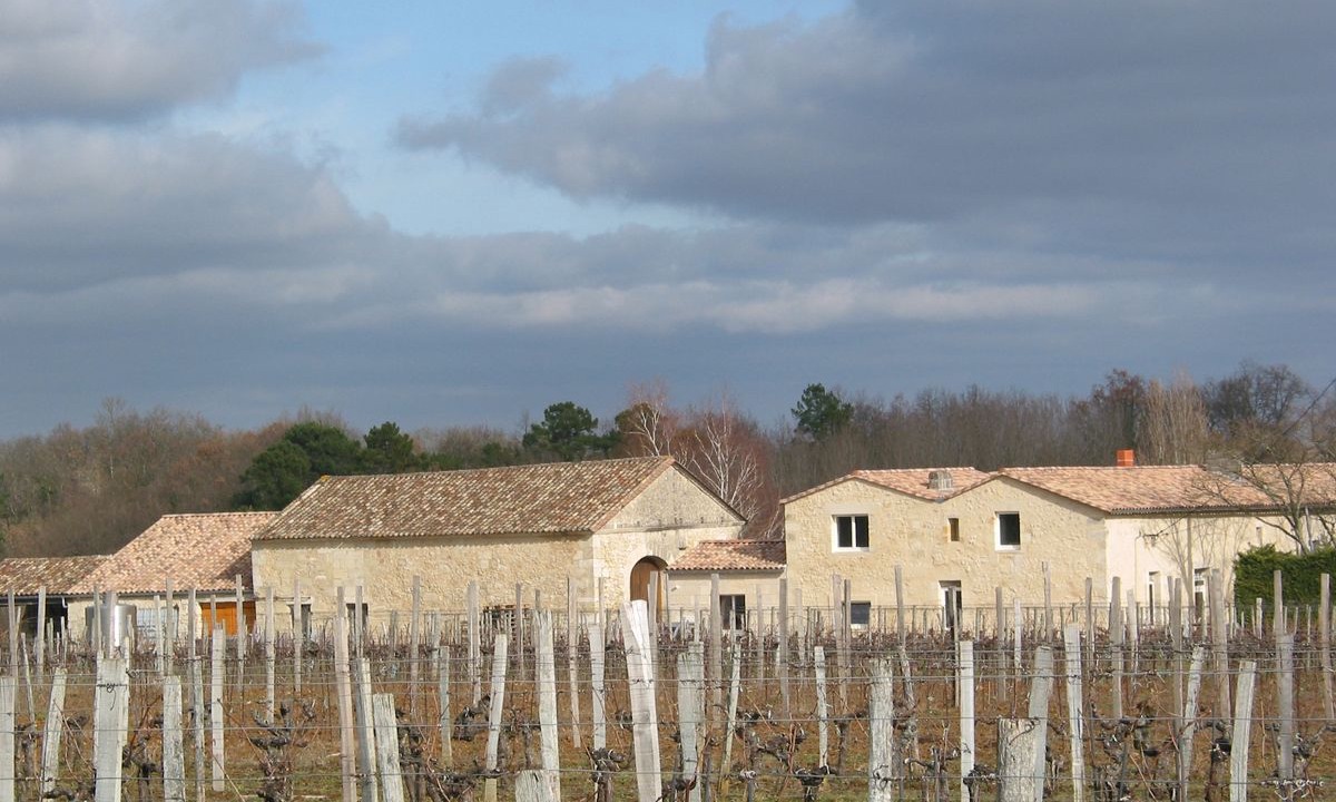 Photo of Outdoor in Puisseguin