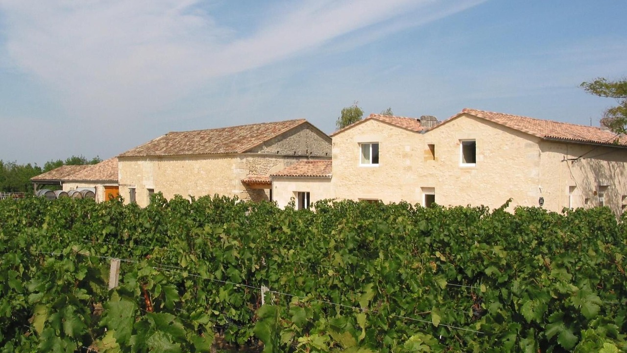 Photo of Outdoor in Puisseguin