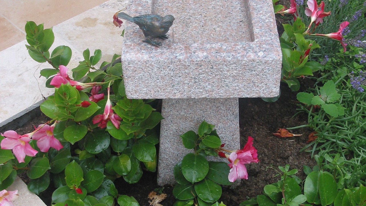 Photo of Outdoor in Puisseguin