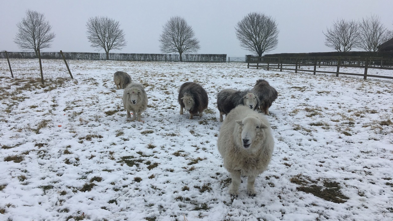 Photo of Outdoor in Madingley