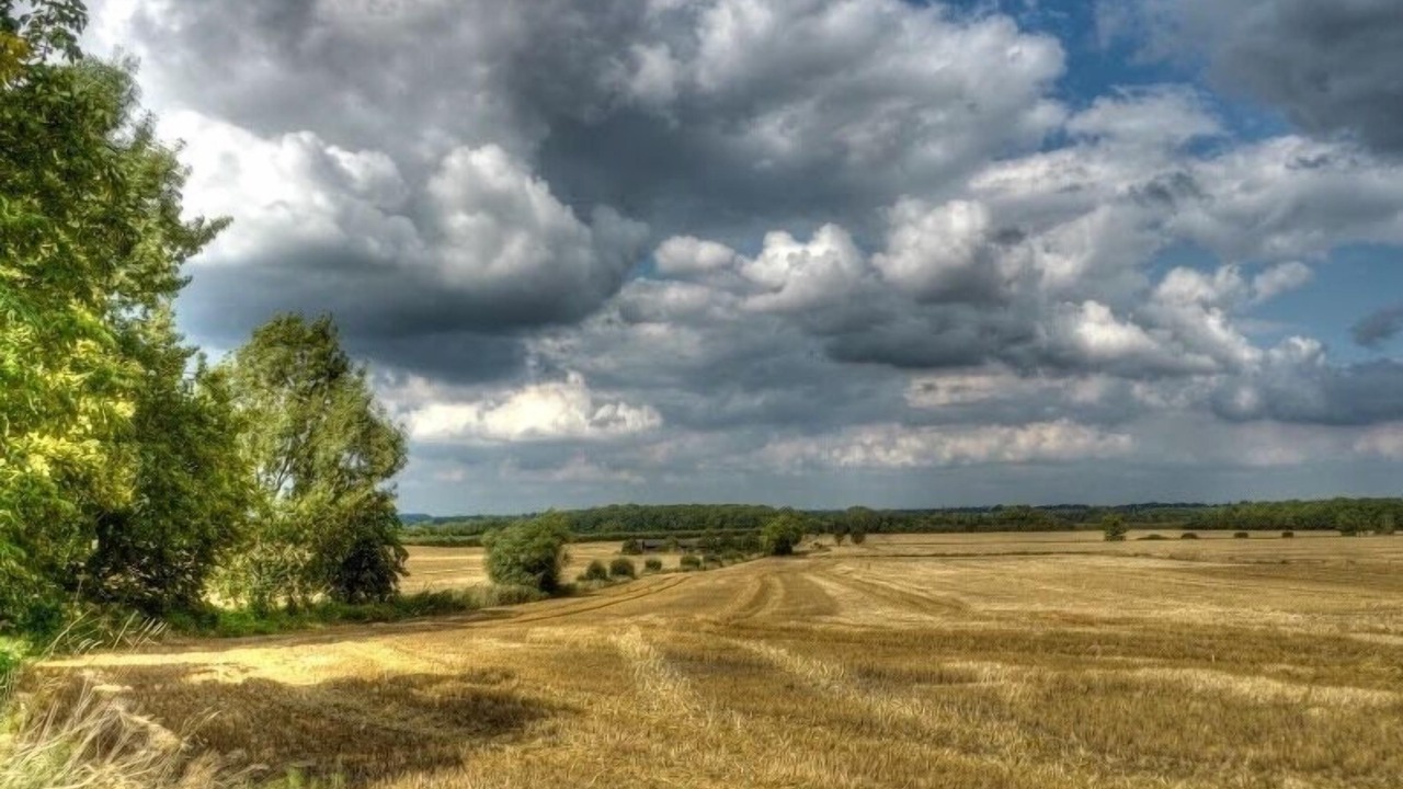 Photo of Others in Madingley