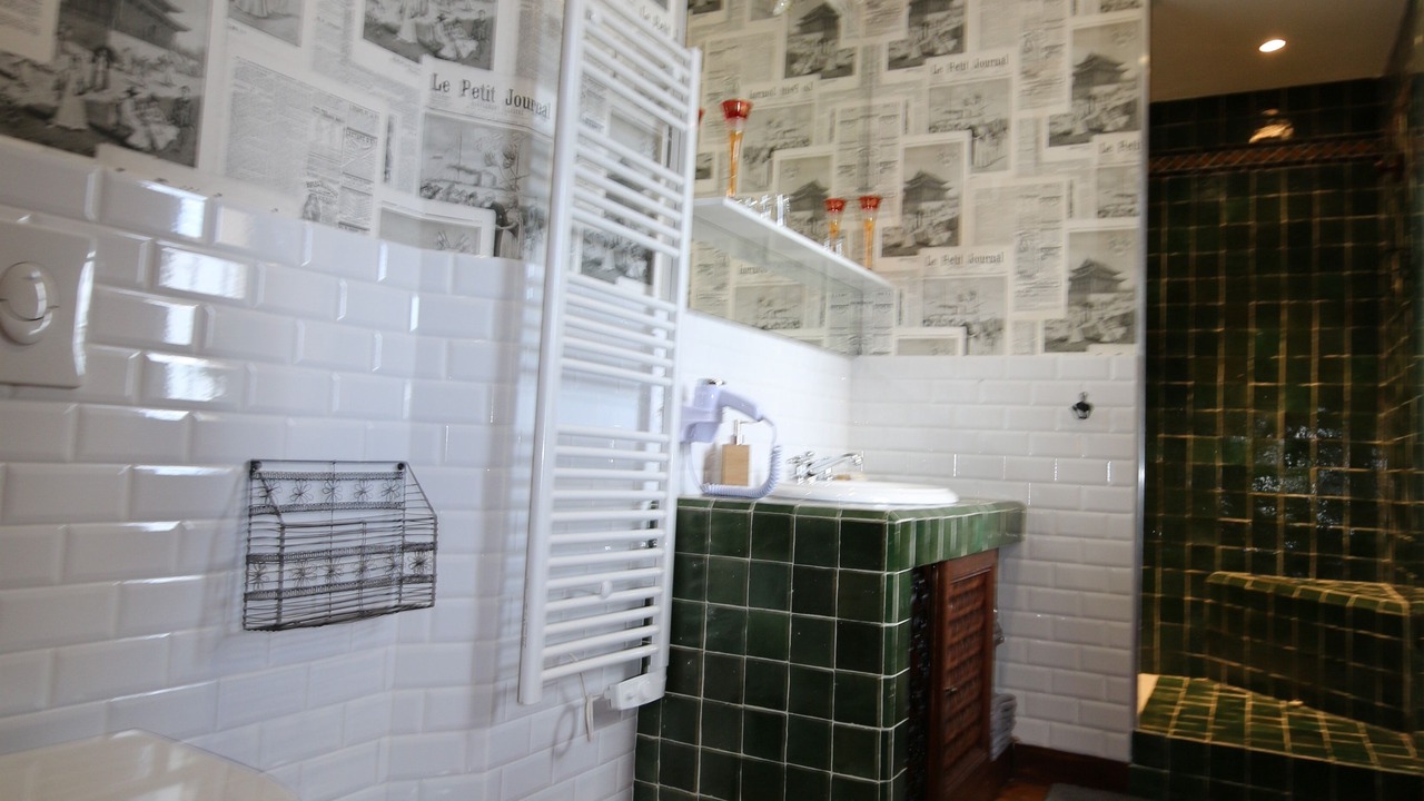 Photo of Bathroom in Mouchamps