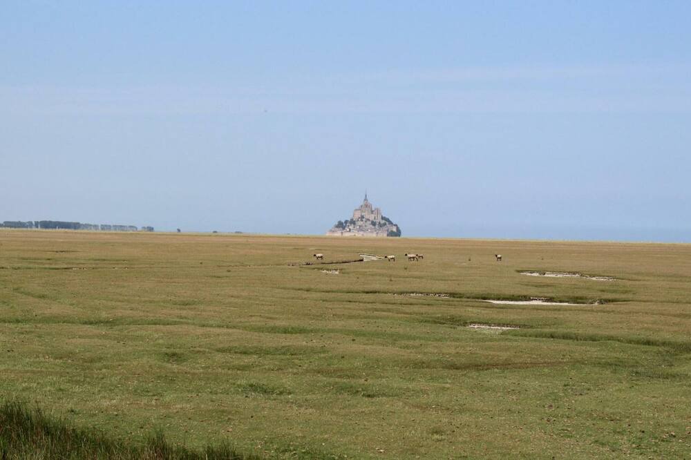Photo of Others in Le Mesnil-Ozenne