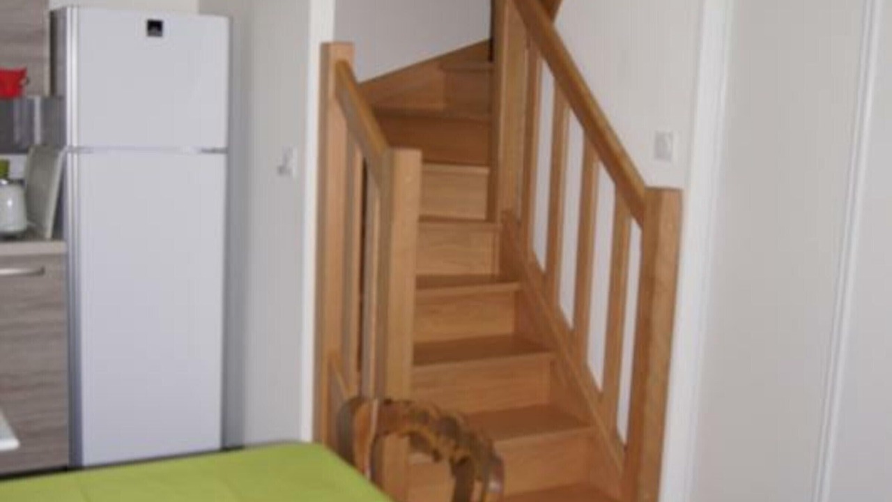 Photo of Others in Genets