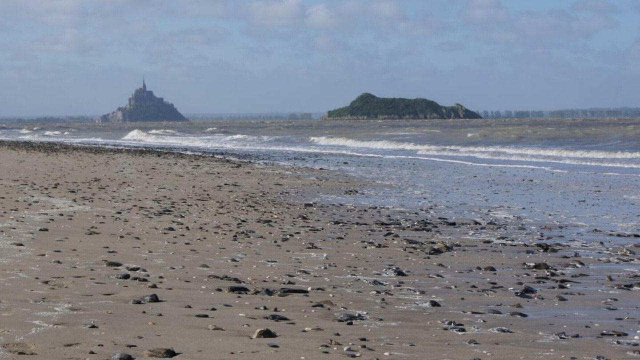 Photo of Others in Genets