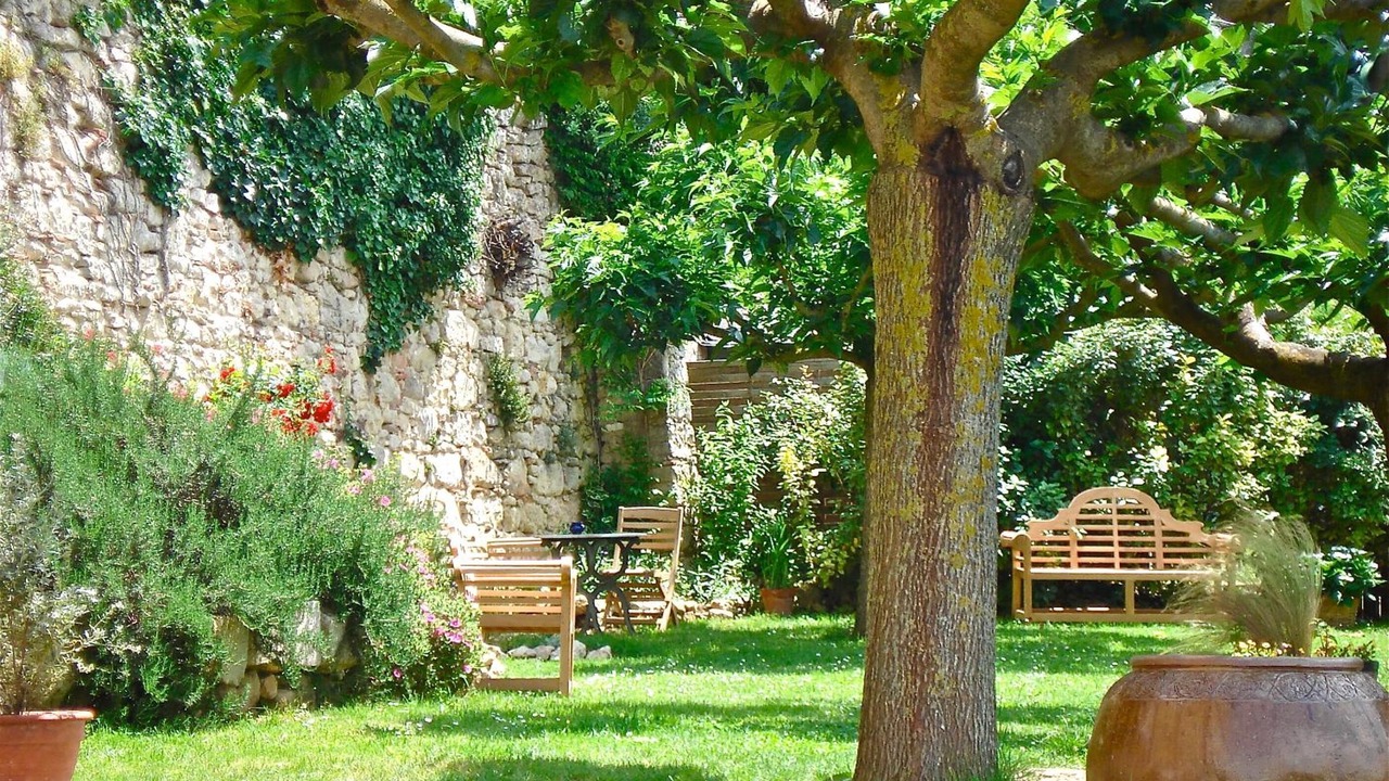 Photo of Outdoor in Cuq-Toulza