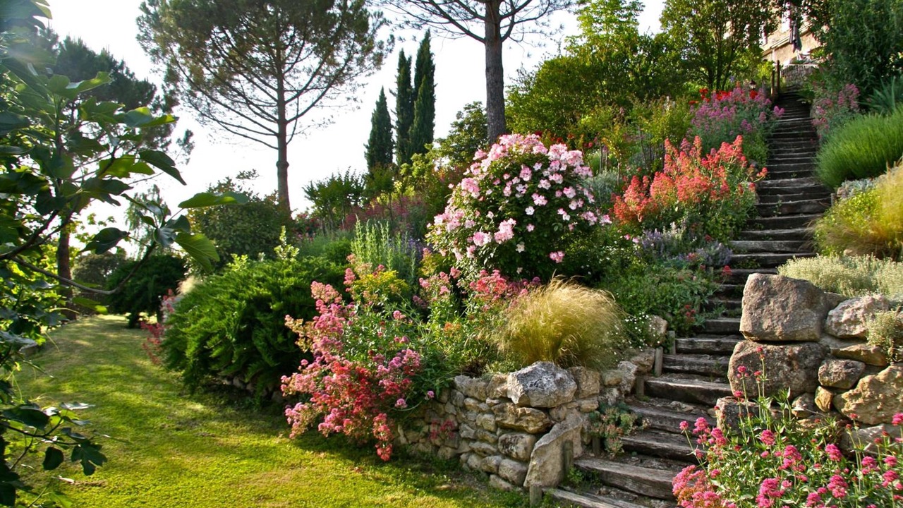 Photo of Outdoor in Cuq-Toulza