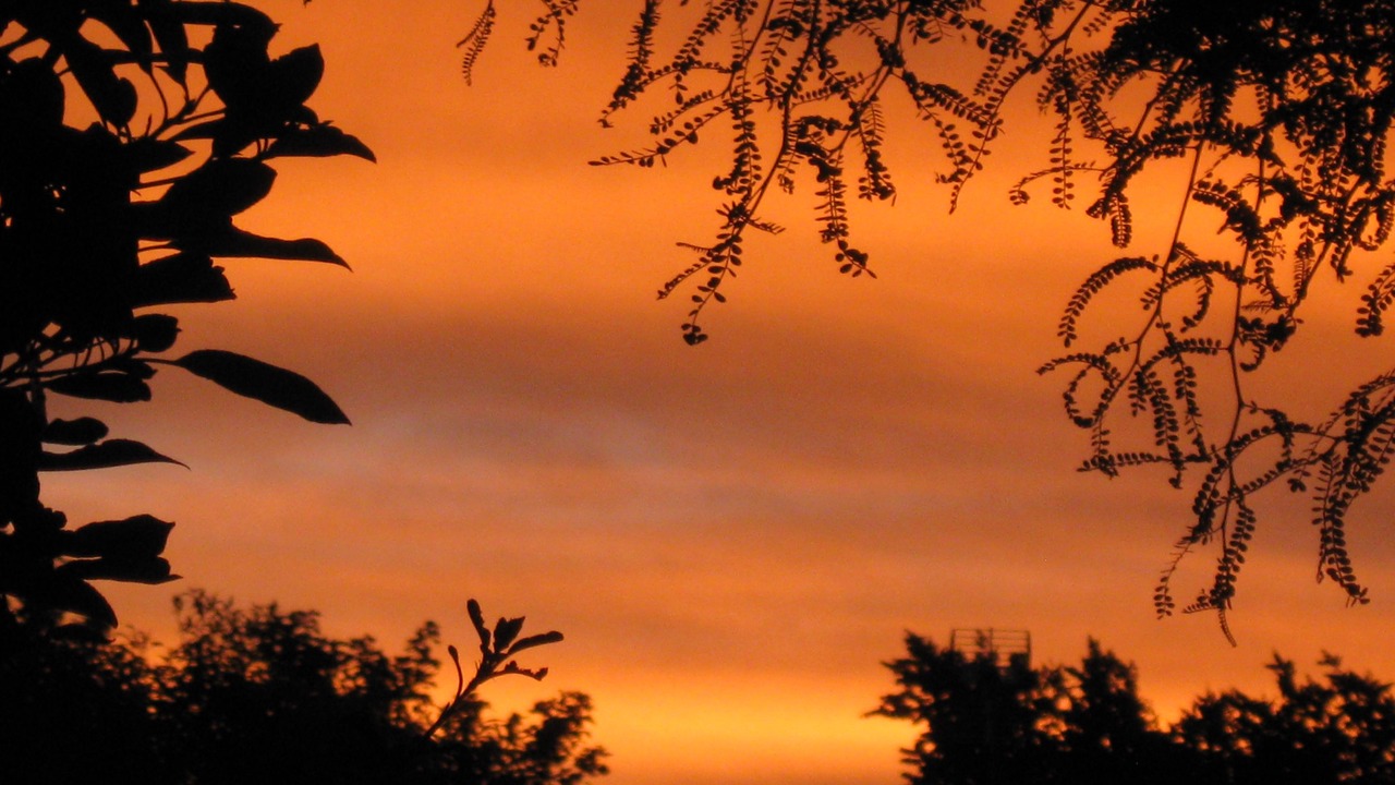 Photo of Outdoor in Martinborough
