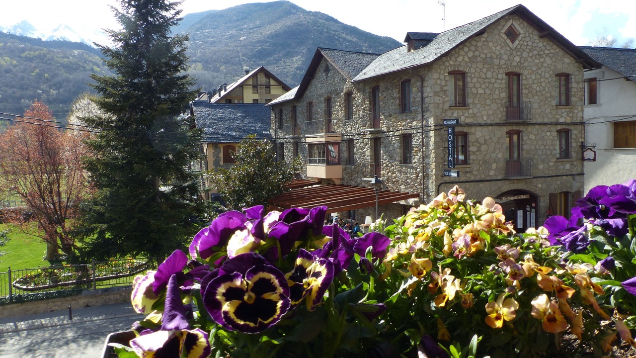 Photo of Outdoor in Esterri D'Aneu