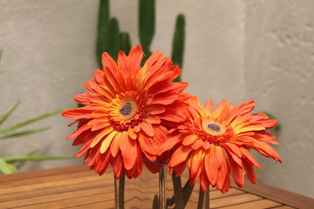 Photo of Outdoor in Gemenos