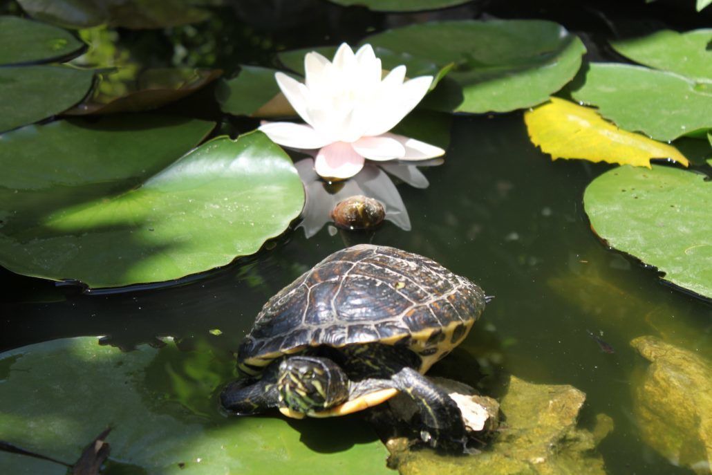 Photo of Outdoor in Gemenos