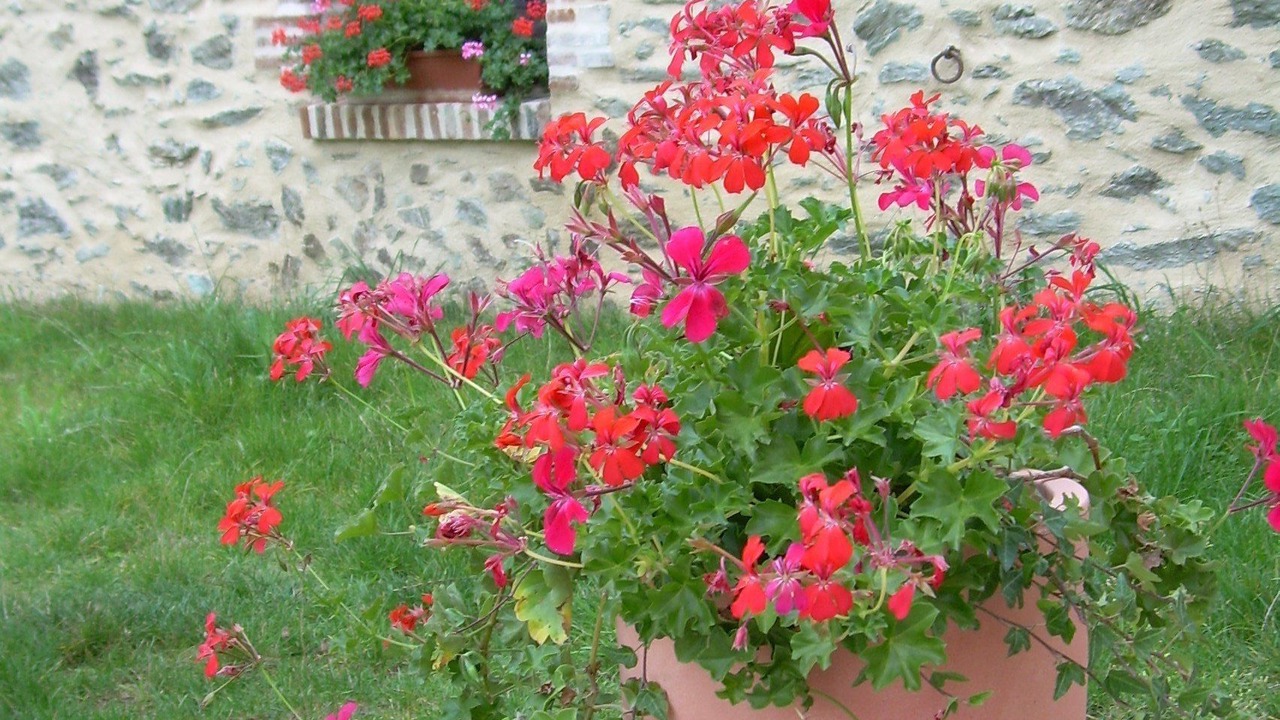 Photo of Outdoor in Chemille-Melay