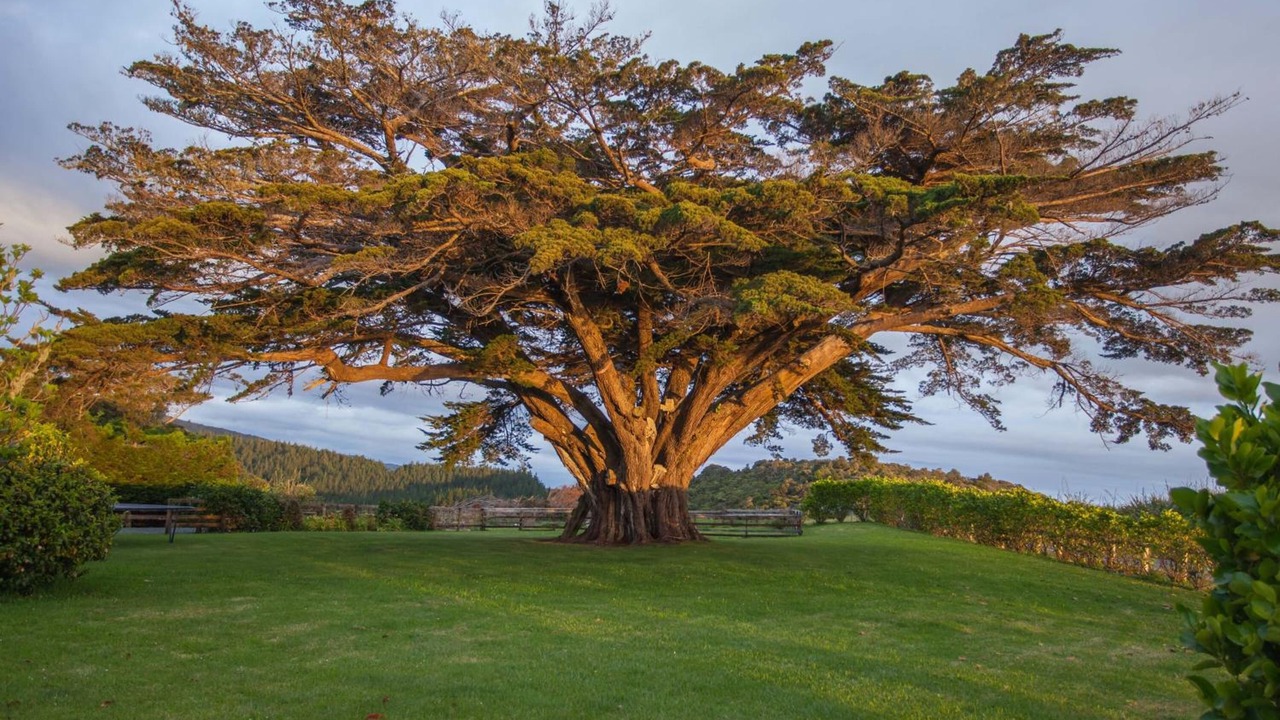 Photo of Outdoor in Aranga