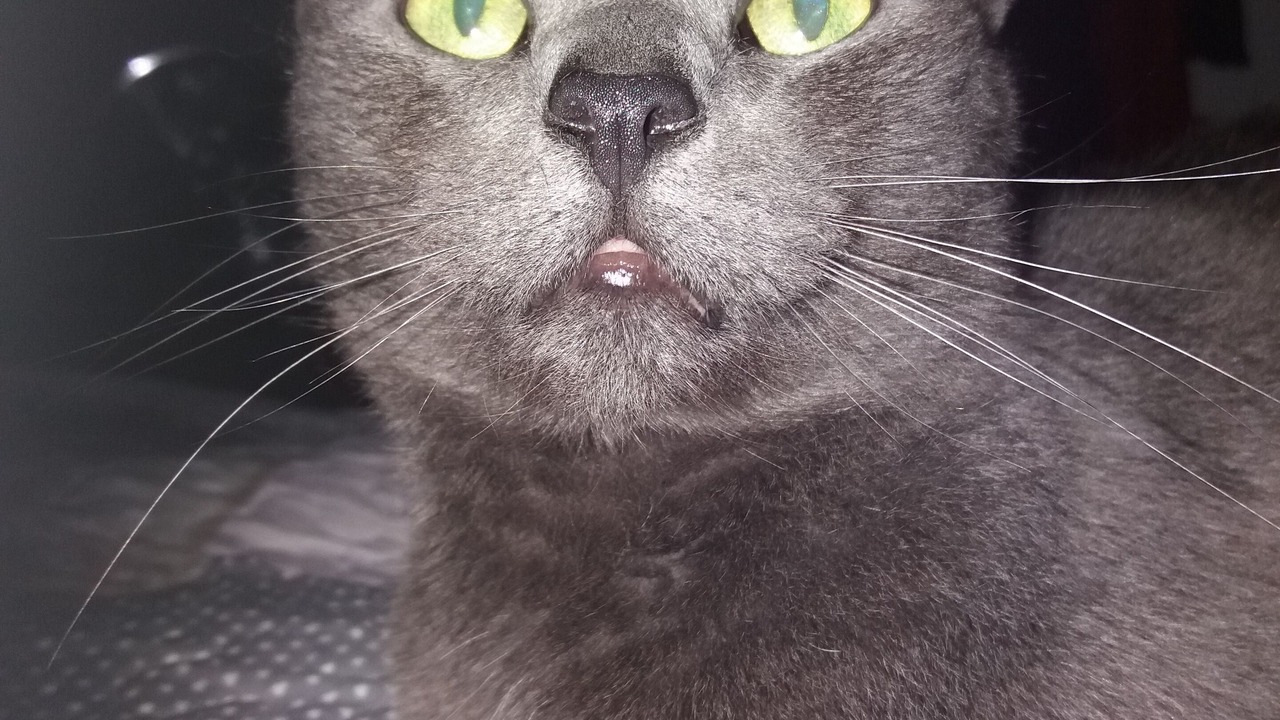 Photo of Outdoor in Vicq