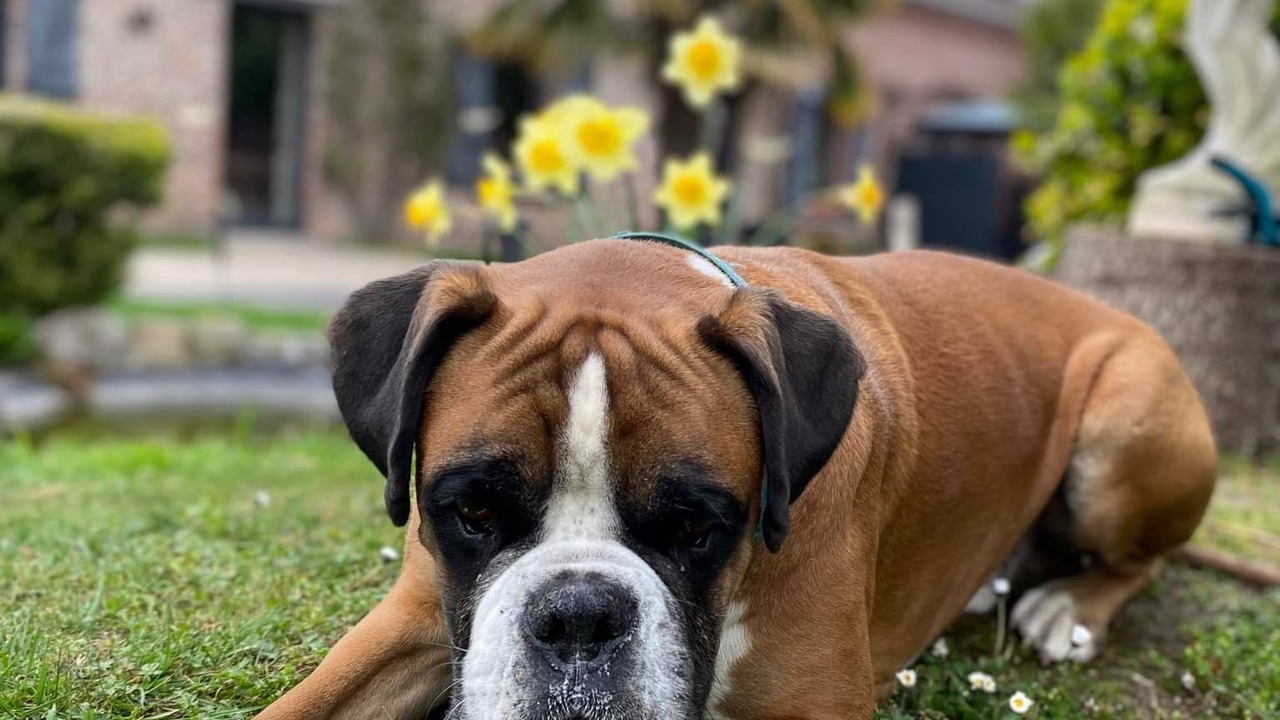 Photo of Outdoor in Vicq