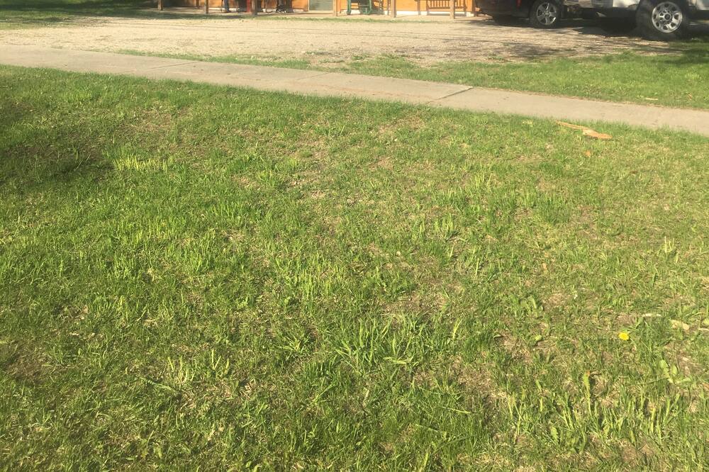 Photo of Outdoor in Luther