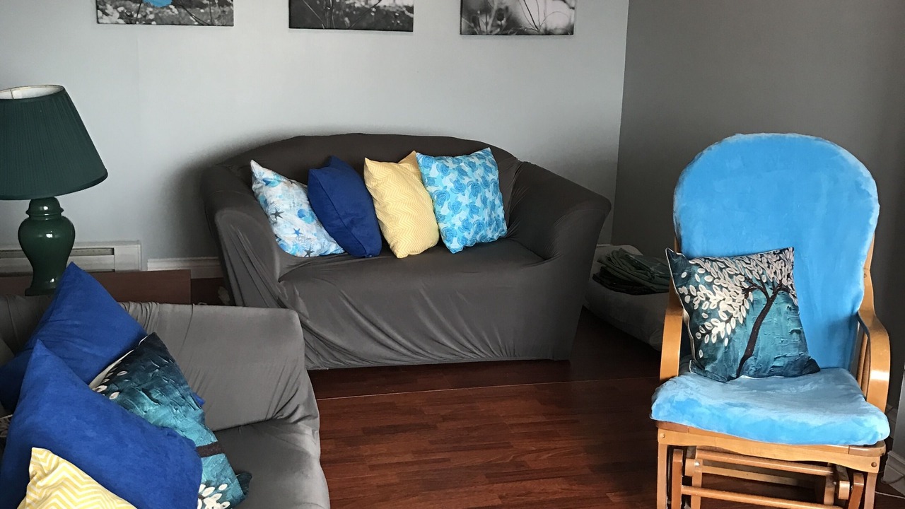 Photo of Livingroom in St. Vincent's-St. Stephen's-Peter's River