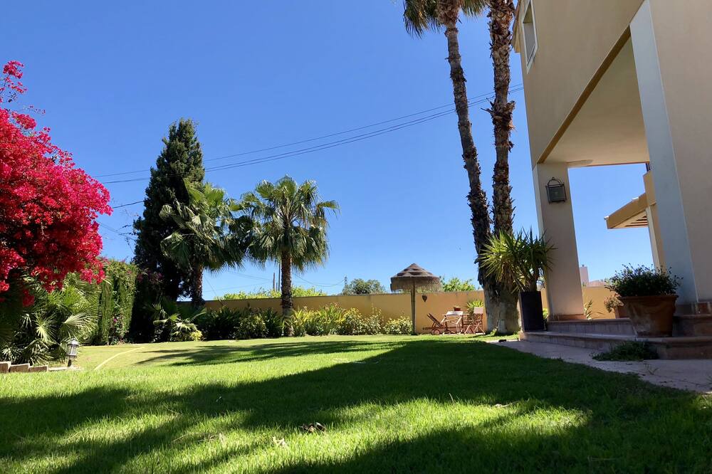 Photo of Outdoor in San Vicente del Raspeig