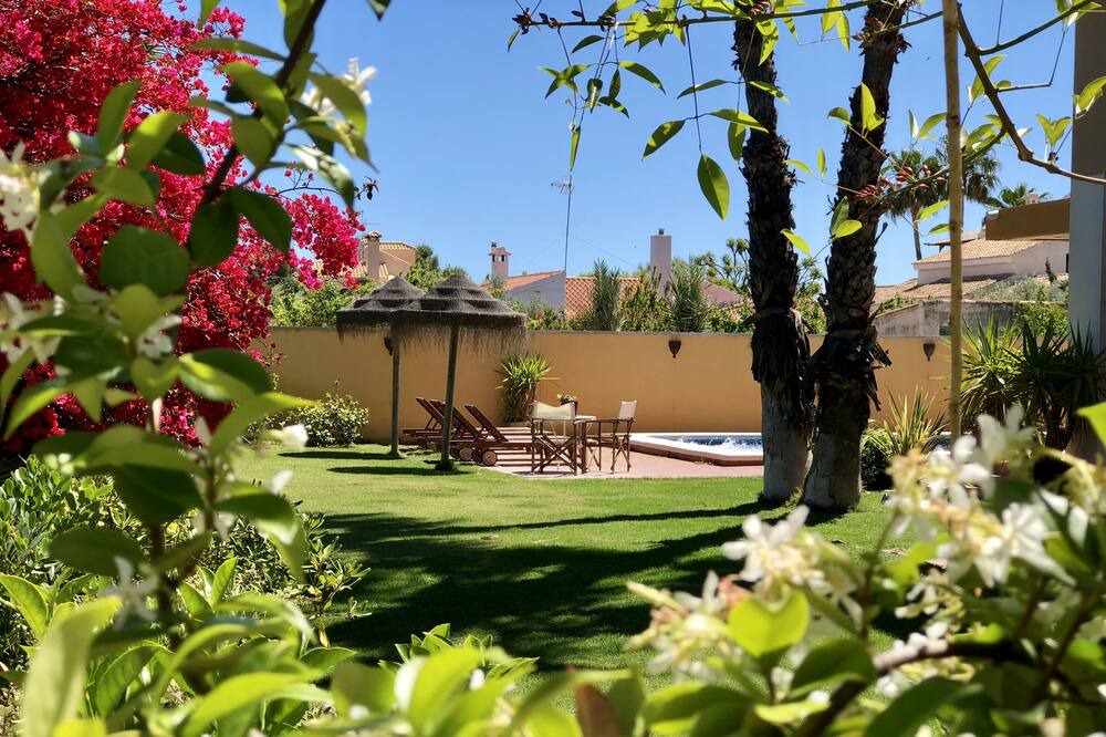 Photo of Outdoor in San Vicente del Raspeig