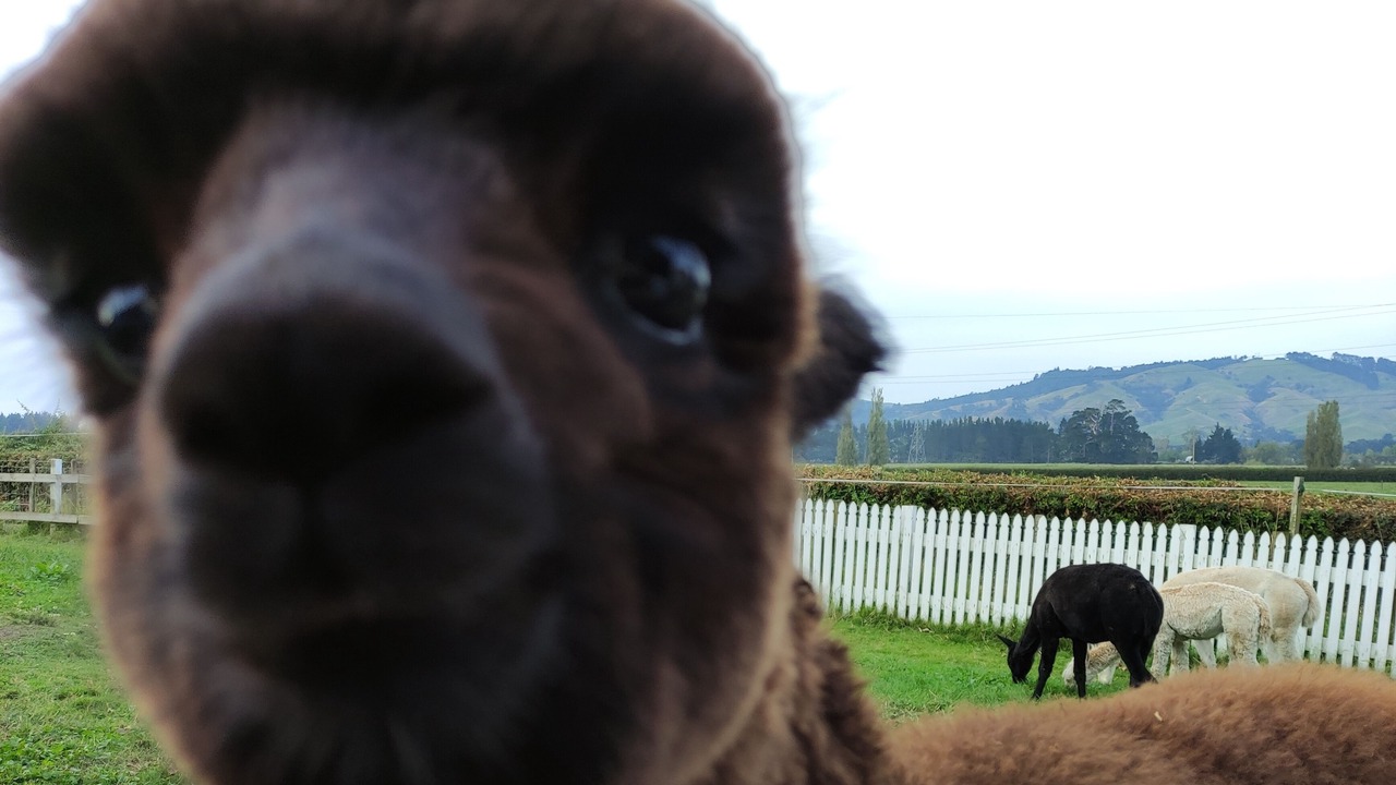 Photo of Outdoor in Cambridge