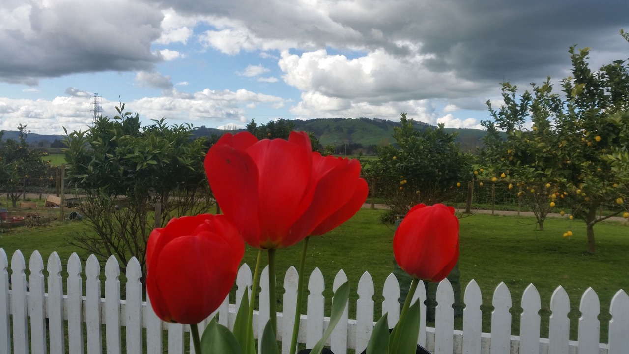 Photo of Outdoor in Cambridge