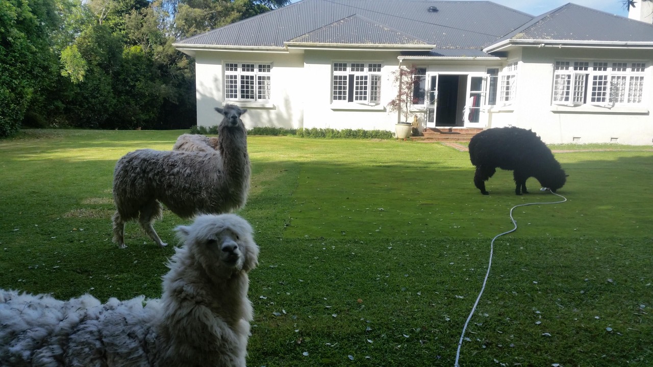 Photo of Outdoor in Cambridge