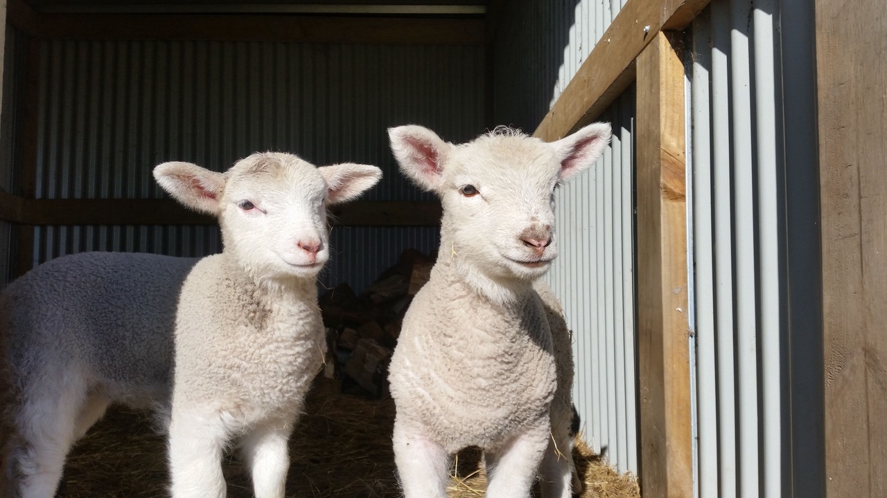 Photo of Others in Cambridge