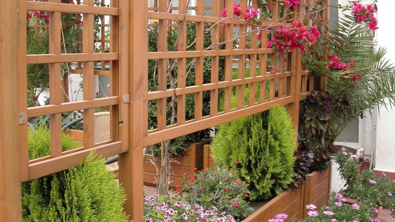 Photo of Outdoor in Sant Carles de la Rapita