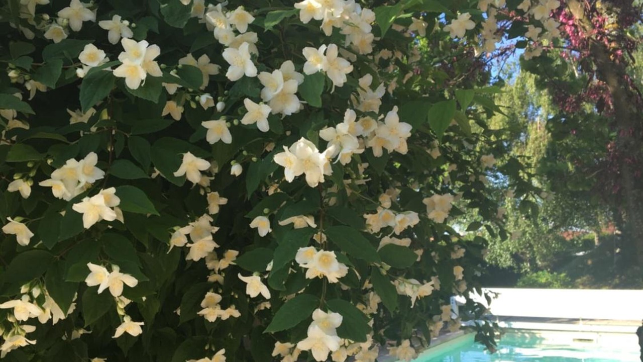 Photo of Outdoor in Maringes