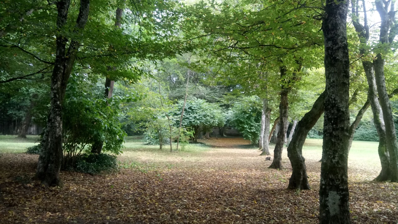 Photo of Outdoor in Abrest