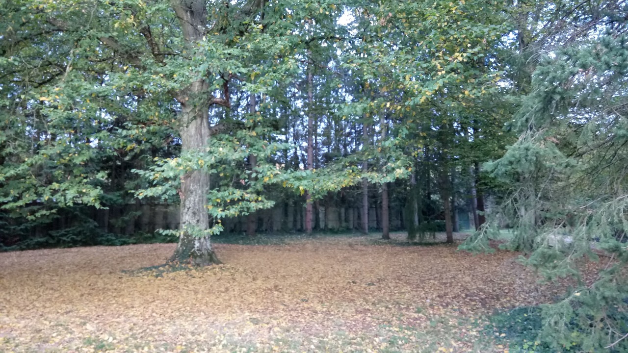 Photo of Outdoor in Abrest