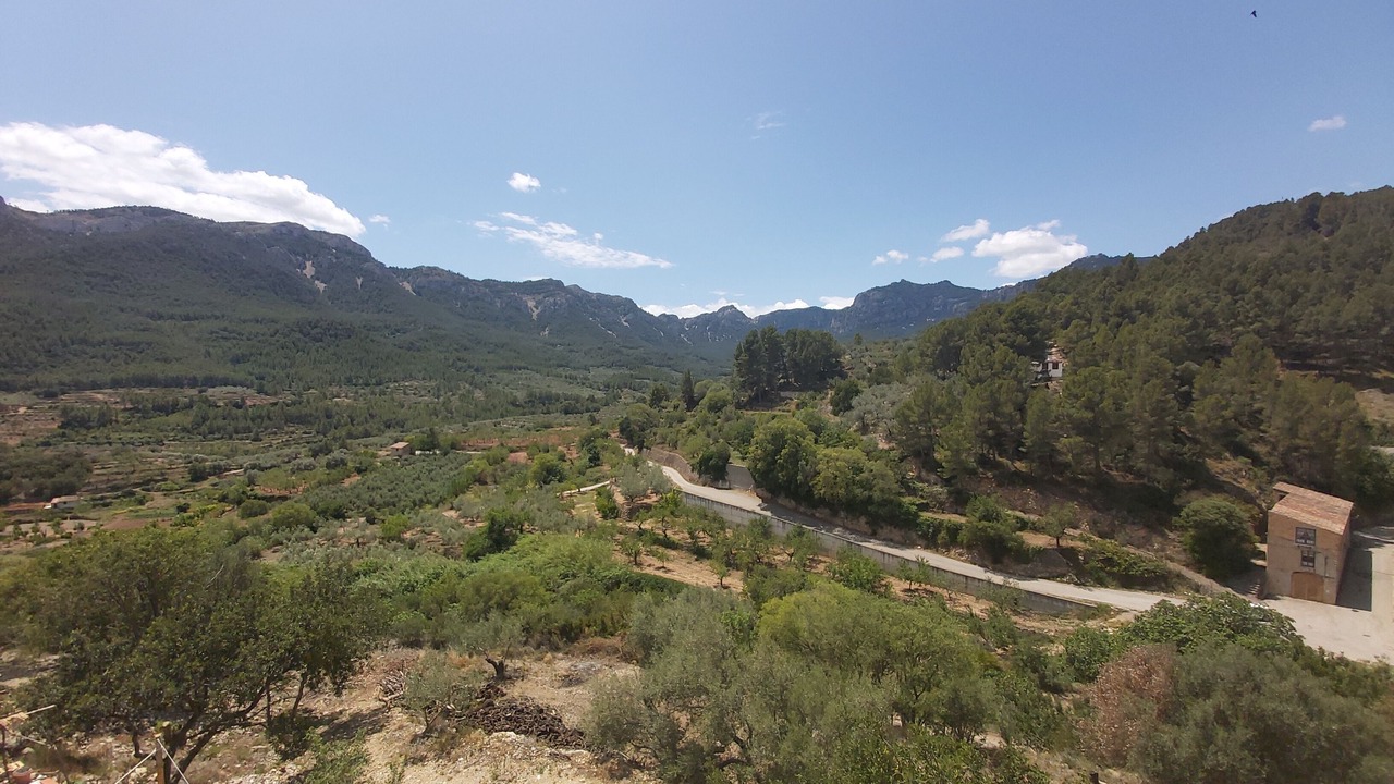 Photo of Outdoor in Pauls
