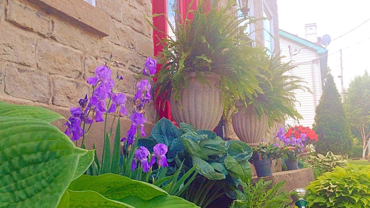 Photo of Outdoor in Brockville