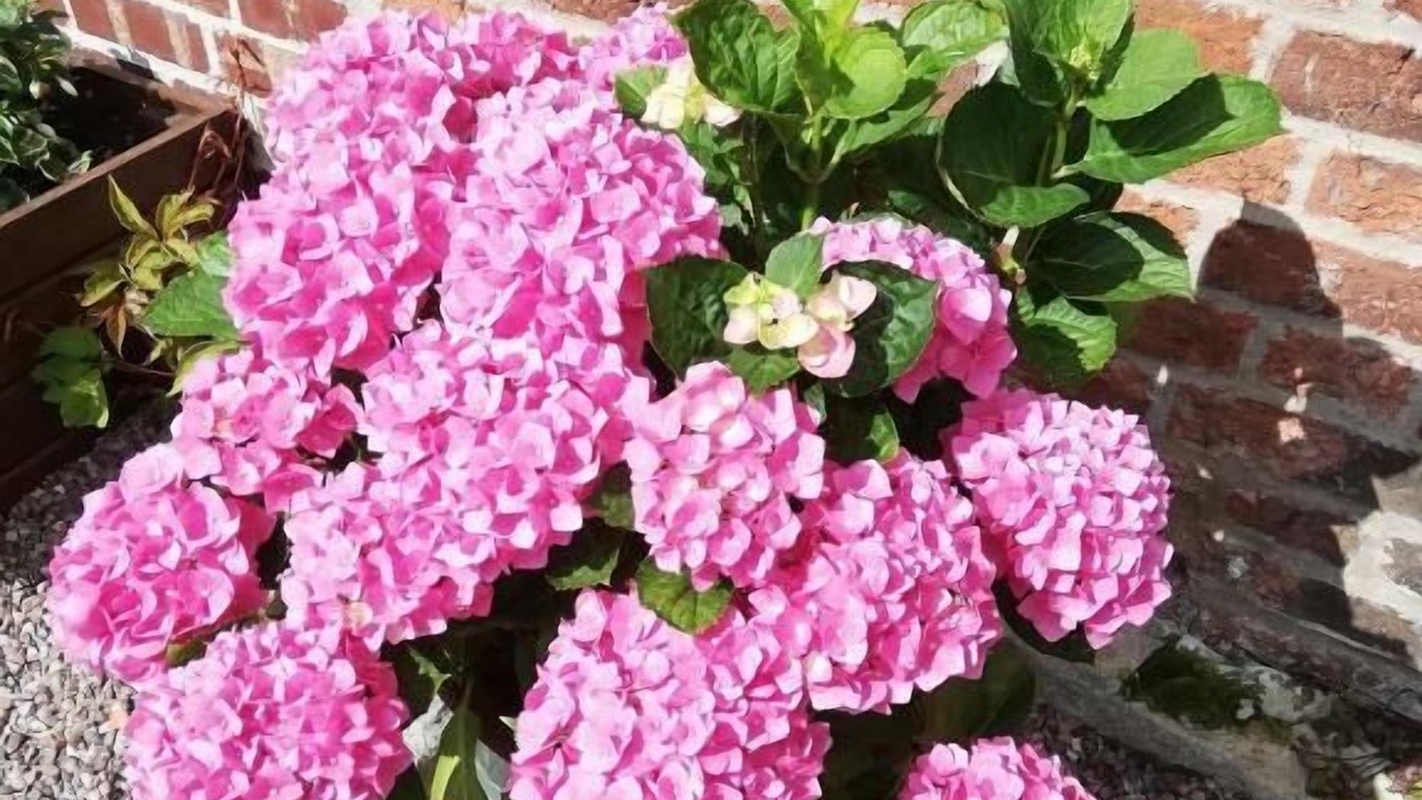 Photo of Outdoor in Stramshall