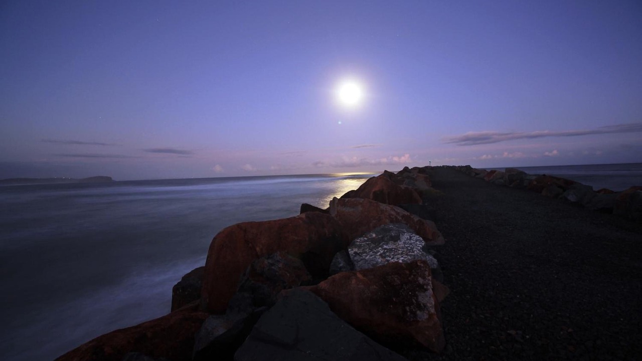 Photo of Others in North Haven