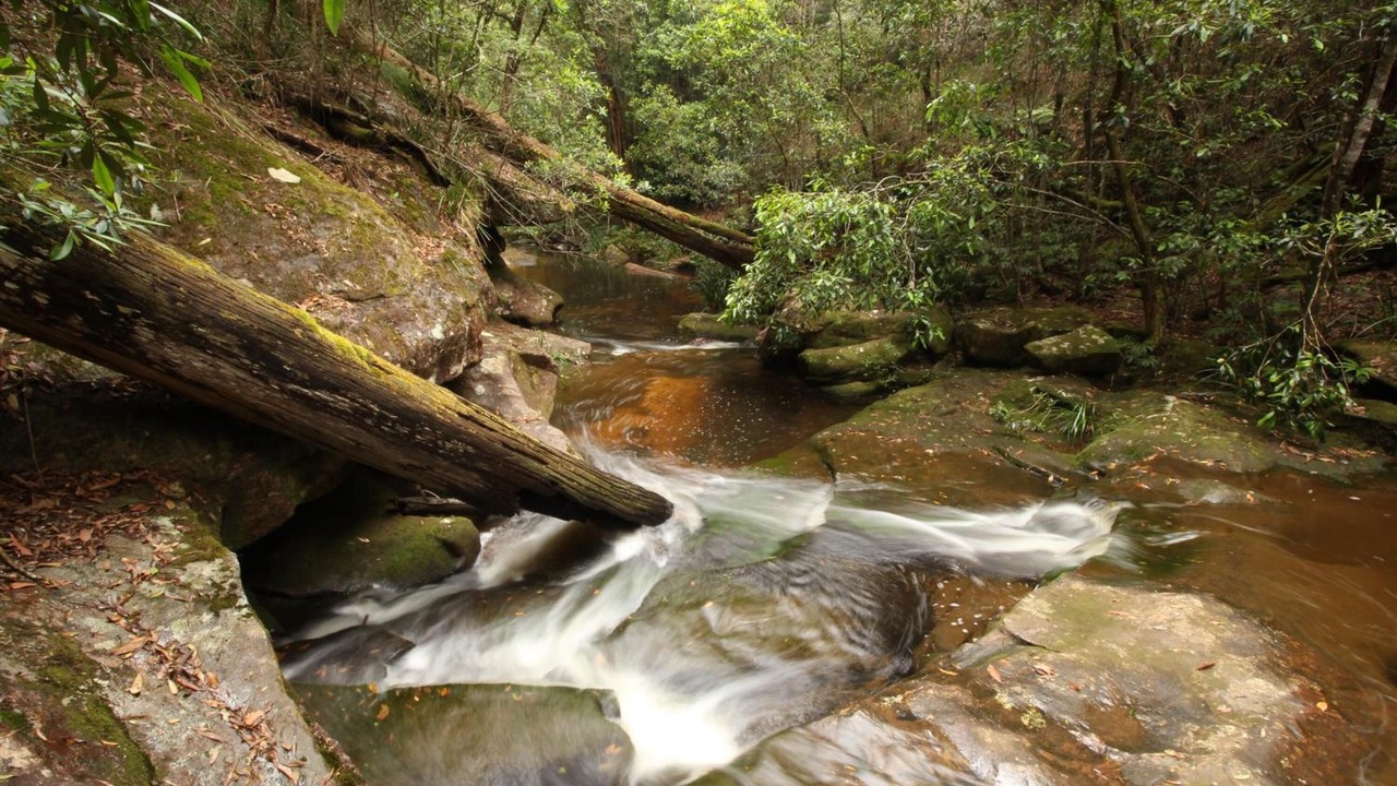 Photo of Outdoor in North Haven