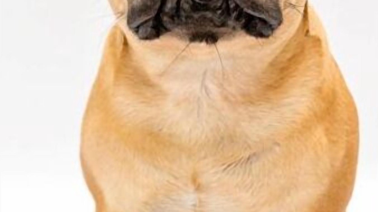 Photo of Bedroom in North Haven