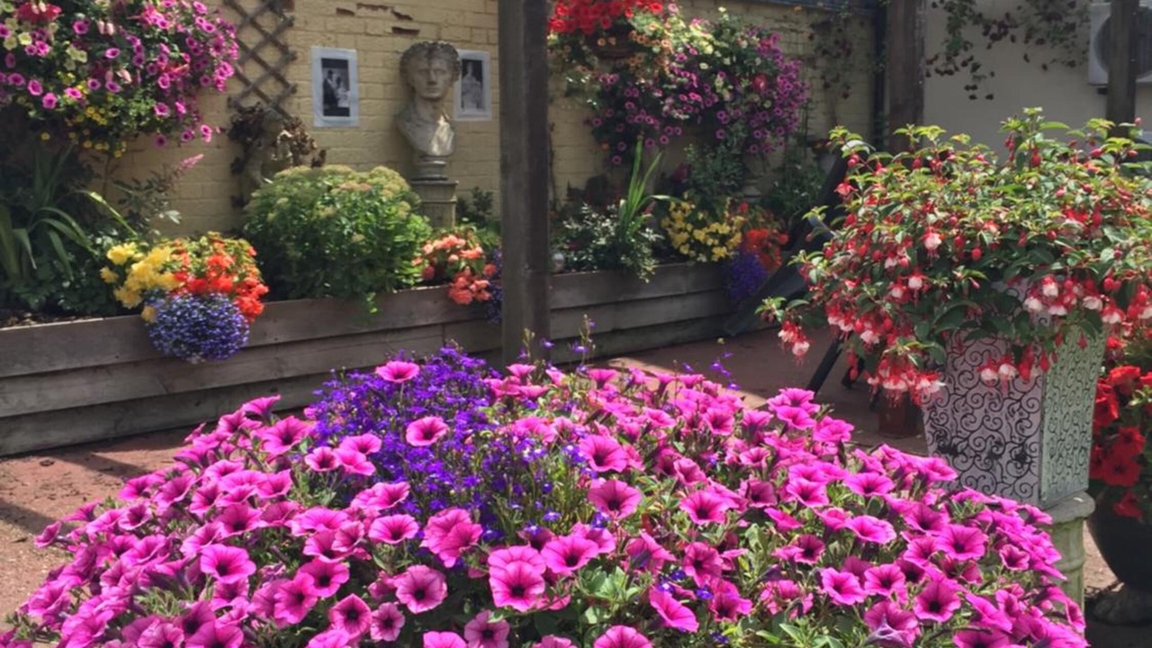 Photo of Outdoor in Halstead