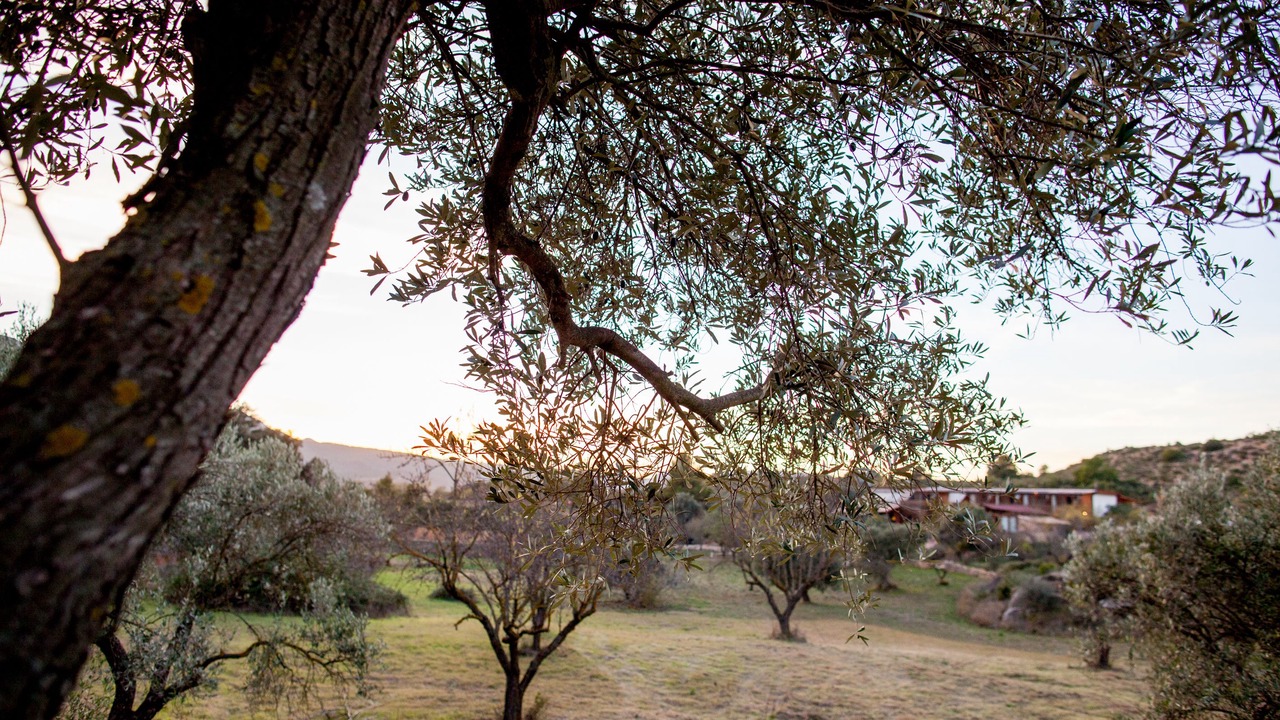 Photo of Others in Valderrobres